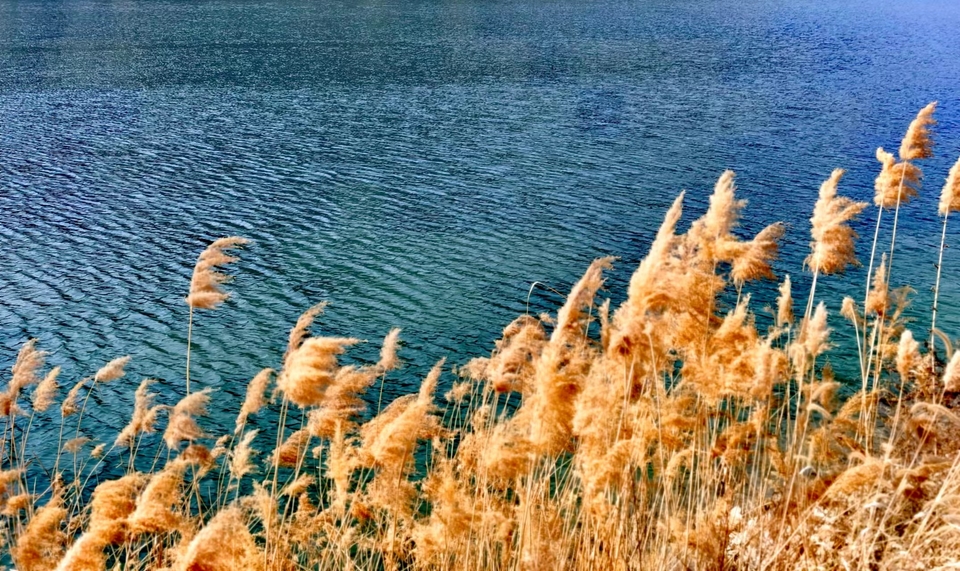 dNSRYneCgZt2PzuOwJOo__66jRoZQOF9DLwem2RchYnwEF9Si9geI0kONMSIotRU