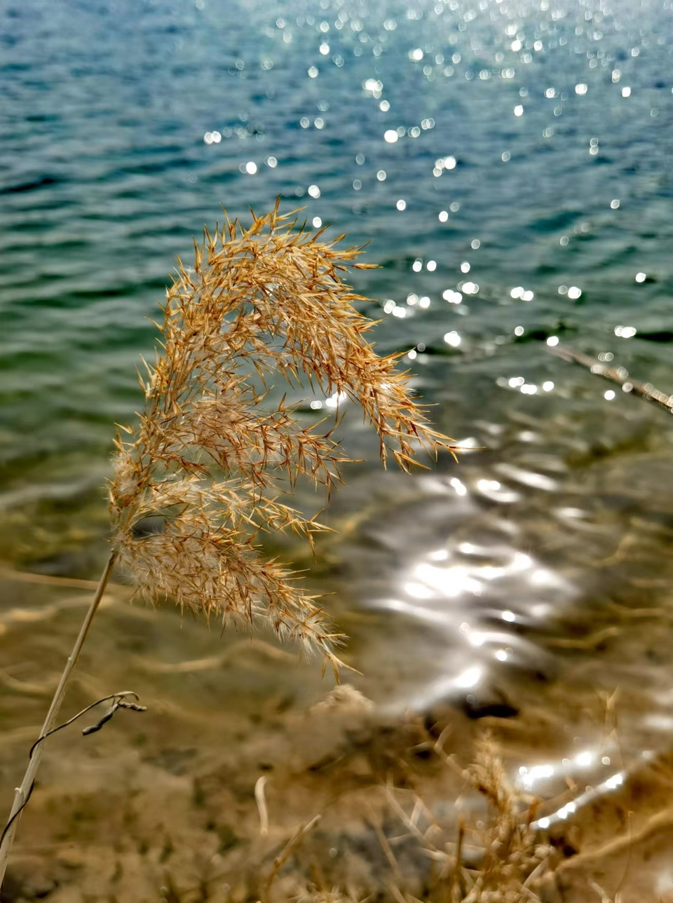 dNSRYneCgZt2PzuOwJOo_7Li40Q_0c8xUaOi5tczrmjOY85ZJ4ip3ZlyetFD9iNv