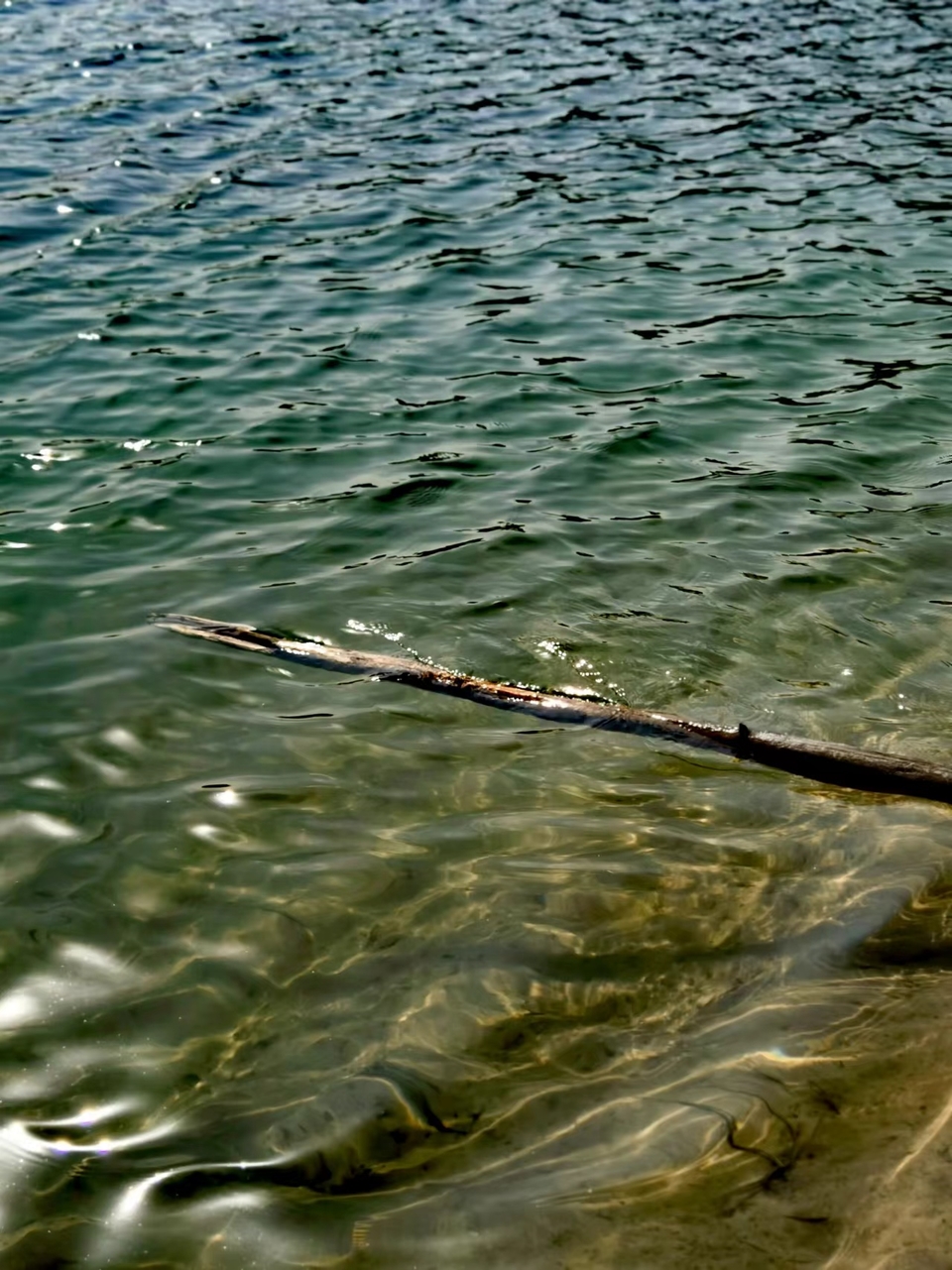 dNSRYneCgZt2PzuOwJOo_4QEklwzHhJHdxhdzHLWOrz-AtONTqWK-uZBLfj8QnUl