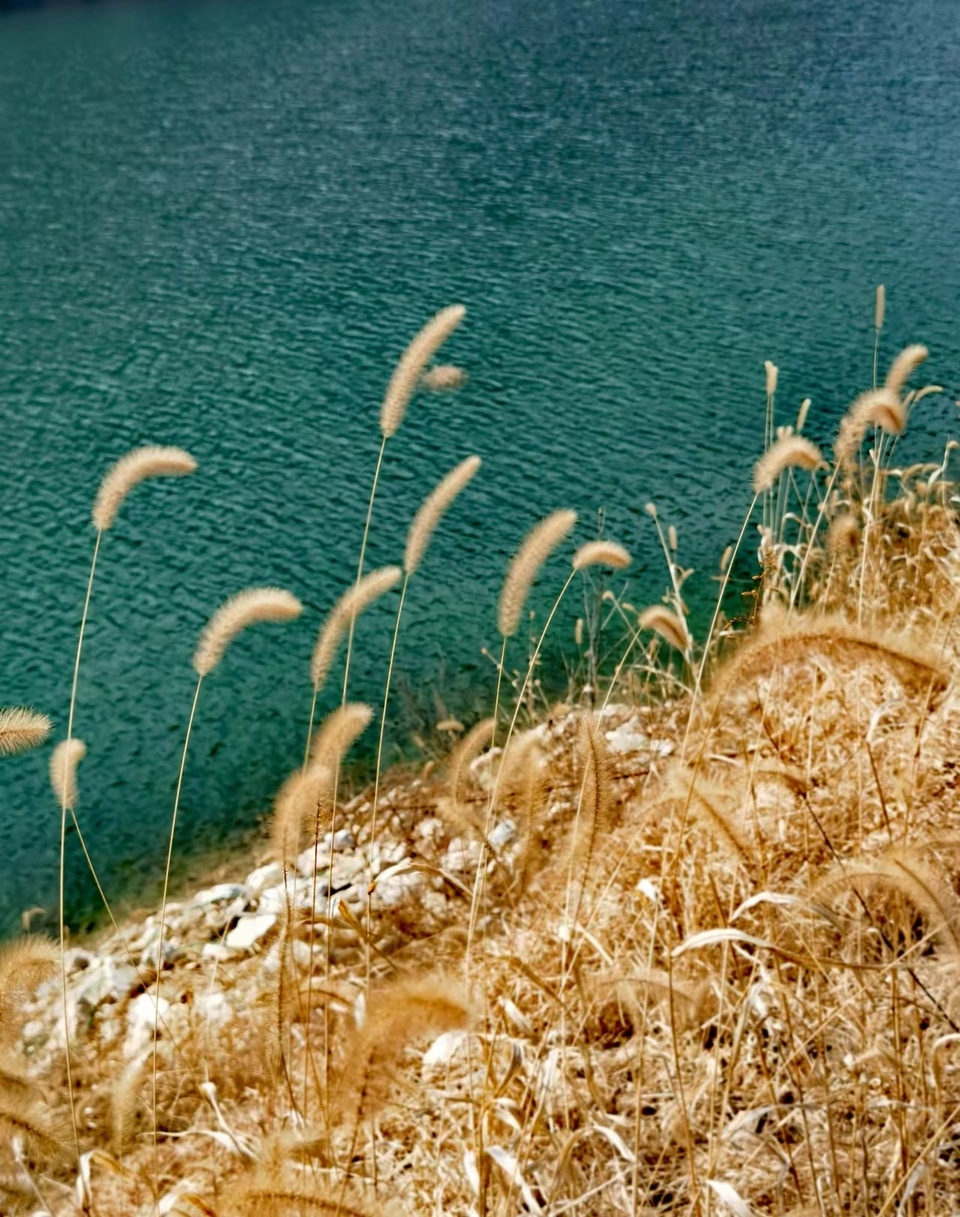 dNSRYneCgZt2PzuOwJOo_9q9JimMqZHF0pYGQjx3HySR4MUrkUktU9Eygx8TCrco