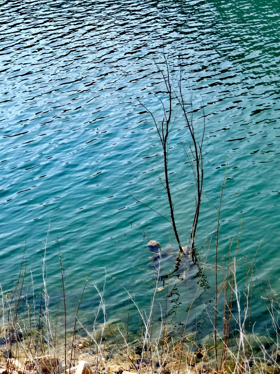 dNSRYneCgZt2PzuOwJOo_8uPqGxXKJiqjLlGFvOYiT16bKaxrAVCSx0n3_bBa7IB