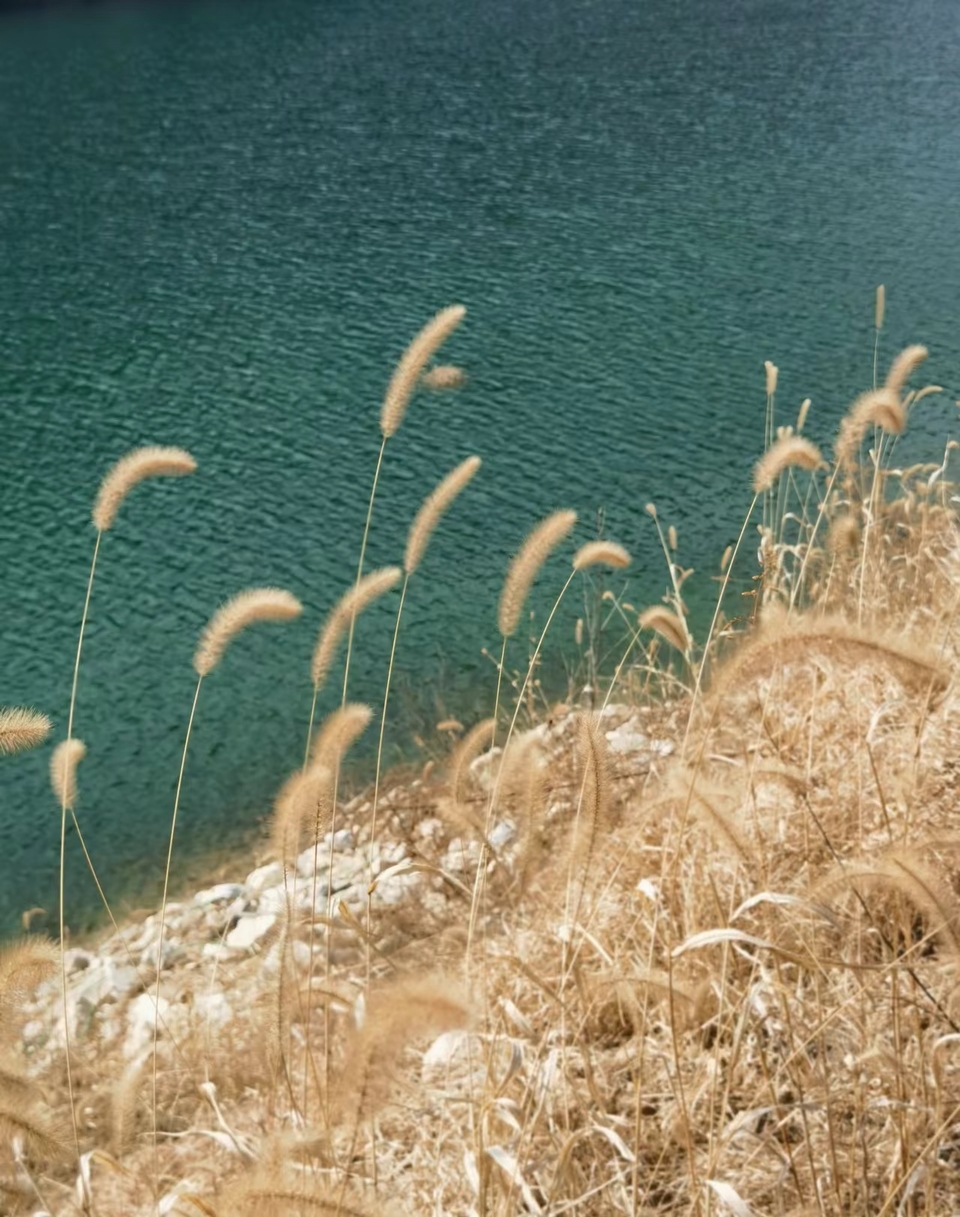 dNSRYneCgZt2PzuOwJOo_0vffmjmbV6ur7EAk4MyxSryR_maLx_DlmgTtkh4qjVu