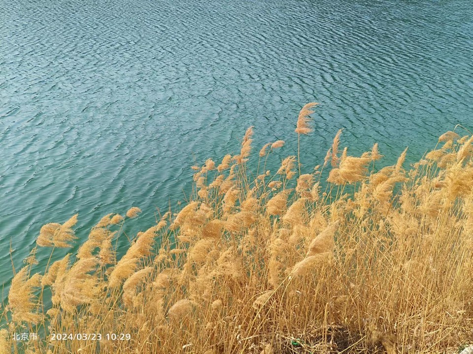 dNSRYneCgZt2PzuOwJOo_4p5fiKz_qHC6Y9Rt_RLdvZDCWcvsKlM90uMbTQz1YGL