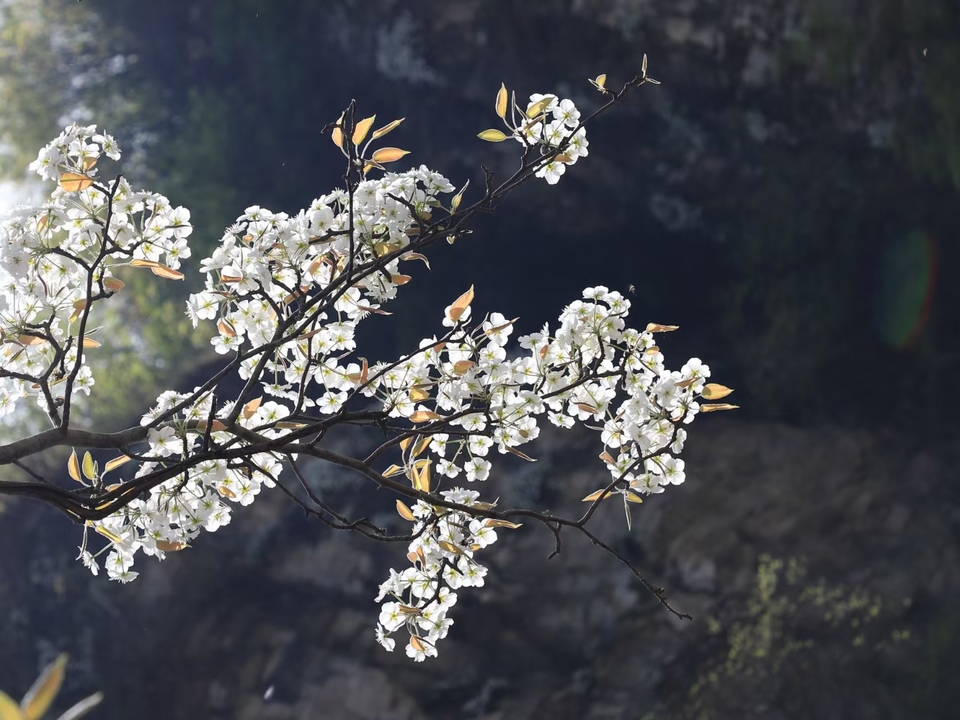 dNSRYneCgZt2PzuOwJOo_3rA2Gv2vS_ZGiaXBMDXjoKdTHNfbf0JOniklwnHQqD9