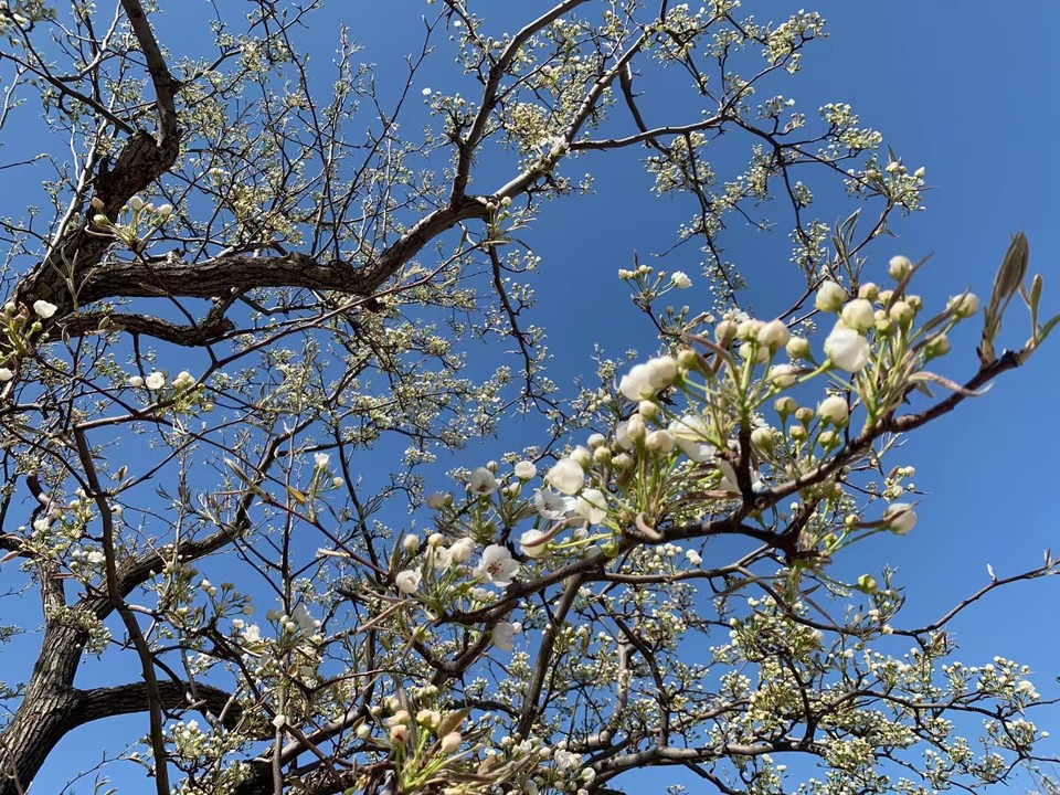 dNSRYneCgZt2PzuOwJOo_1Snz-6_umIh4wAb4duFBrBYu_jwXUCBP0qe1-FPo4QW