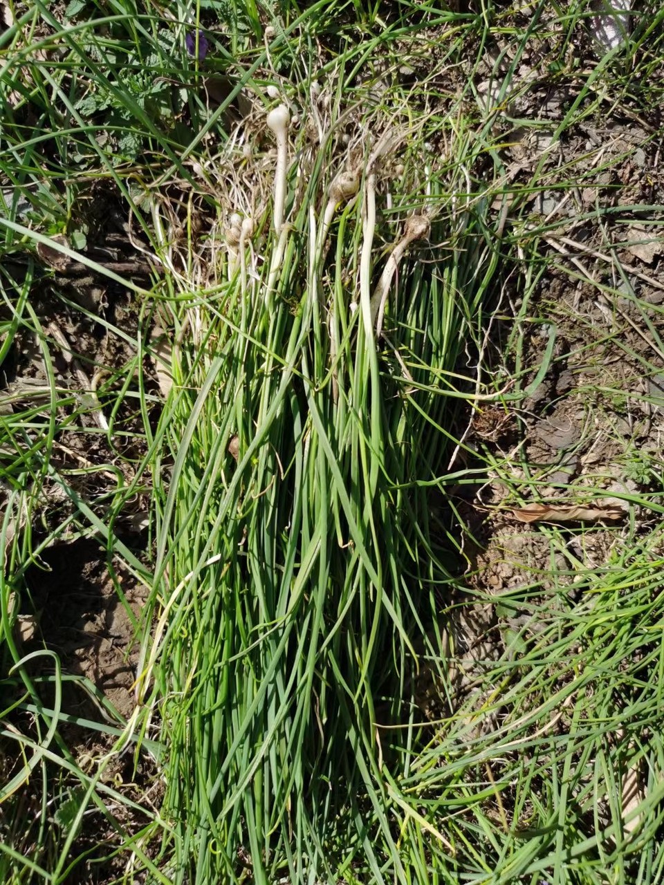 dNSRYneCgZt2PzuOwJOo_9WboQIOW8OsllDBNF2cf8AP6b3_5lFWL1iaNpM7l4F9