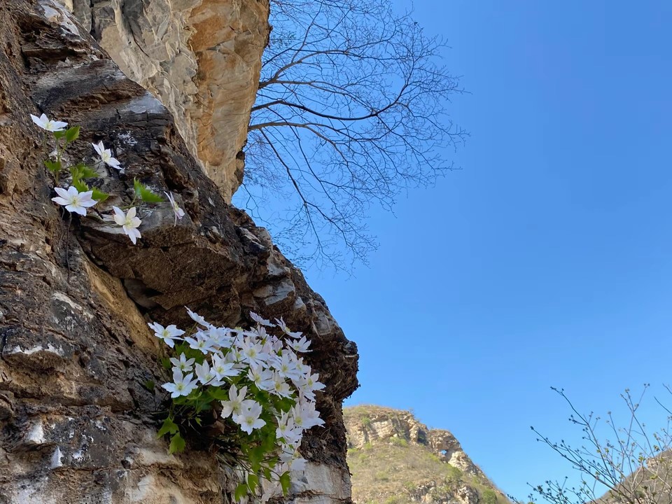 dNSRYneCgZt2PzuOwJOo_xhvt5s-UYUuSIzgtU2sZlYpfNXz6Z4tcNJjiwc1yW6y