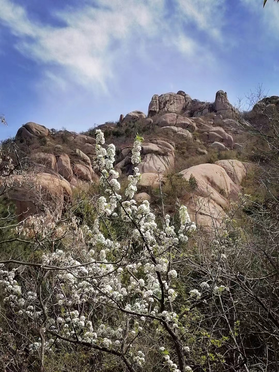 dNSRYneCgZt2PzuOwJOo_59vq7Zcn4QV8vpB8cnurgMB31IXznCGfrvpjol164so