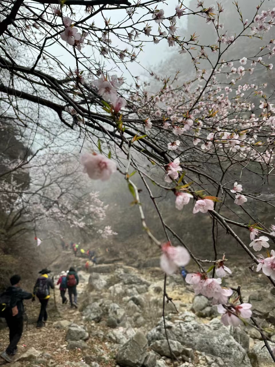 dNSRYneCgZt2PzuOwJOo_844jx70eZmsVzdqxerlsqMAKfO0pV9WGUTBg-Q1qnTd