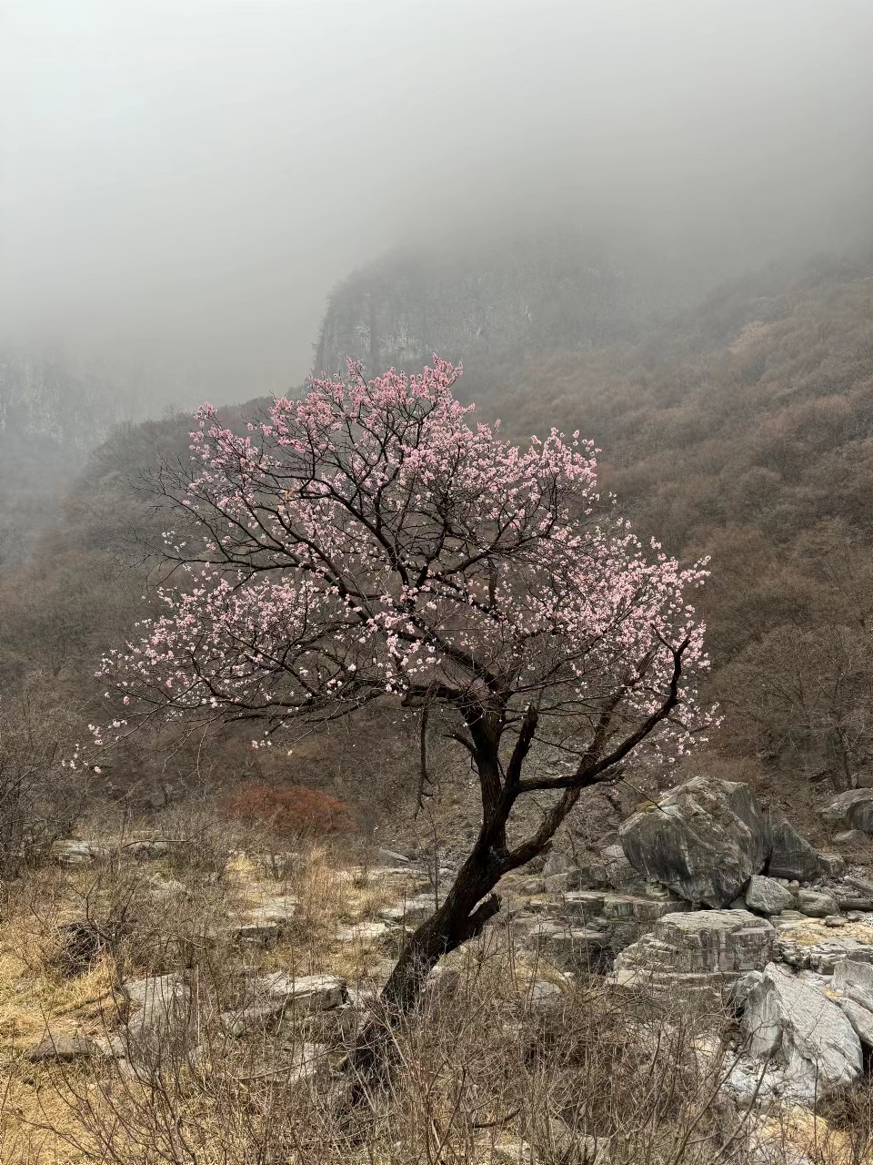 dNSRYneCgZt2PzuOwJOo_0sIh10hL-Ru0hQIRpjkiQgIMwkymEnDIagZTqC4ywW7