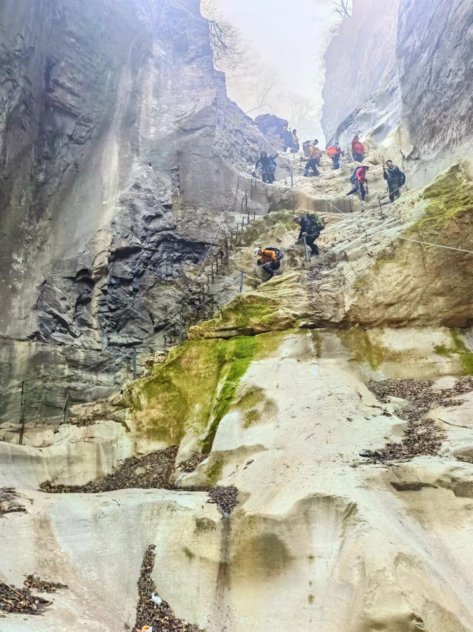 LQZV_W3d7iWWb85lHDf-E6sbSw-OK5GXGymNzJuT9WcWtNUWvQZ1d-wqusVsj8qK