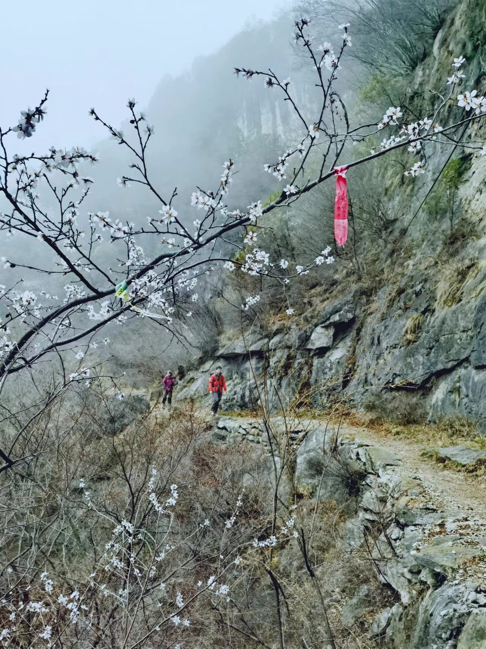 LQZV_W3d7iWWb85lHDf-E24wlw64FsxH8HrFiH9VTAMritW5t-MRSFQsYzCbF8xh