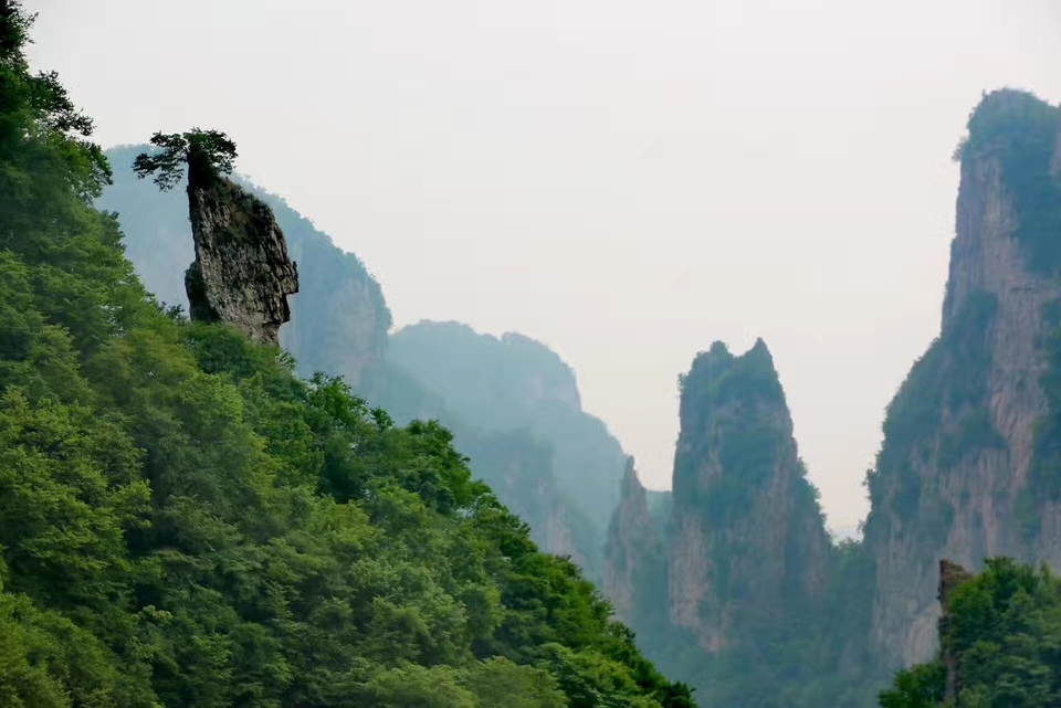 LQZV_W3d7iWWb85lHDf-EwNmV-XJEKoWuJpBuJmmi0qogeCtNTEVmVuT4GIA5HJt