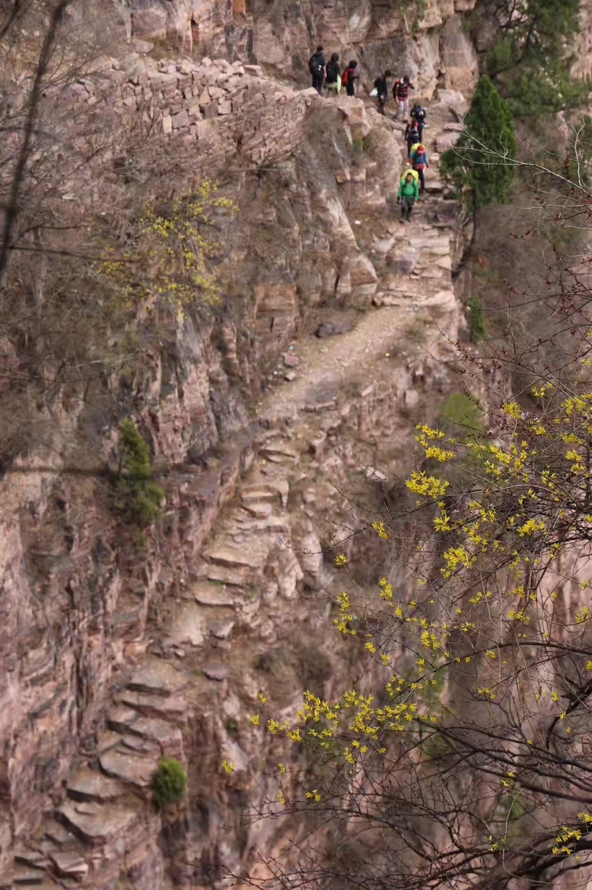 LQZV_W3d7iWWb85lHDf-E90jUPdWsL2SY3UDo8-447GA45WQ5a5bDIotvv5exUKz