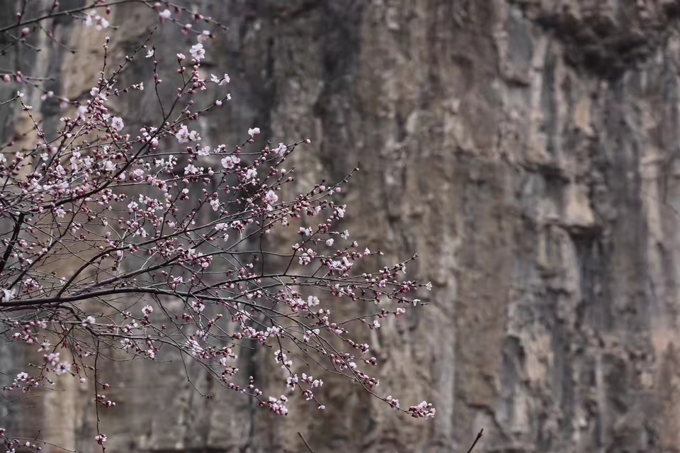 LQZV_W3d7iWWb85lHDf-E5u1bsnMIH9YWEl08xjIIu3SdGoKTJjyqrxqzCzl7Wvn