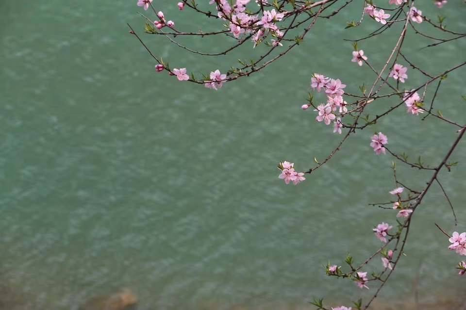 LQZV_W3d7iWWb85lHDf-E7Ce9FcgBfX0TyxsJv1hXakX1iUhK3DPD4Y1GU6Q_qX9