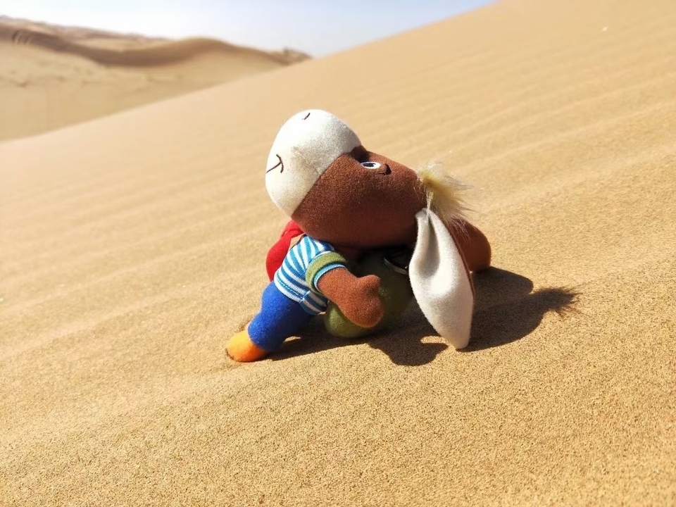 LQZV_W3d7iWWb85lHDf-EyyA_54njMZR_80NBlToGPsHeB5Hlr_WoffRh-ivqYFe