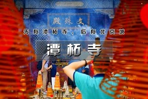 周末1日【潭柘寺】千年古银杏の千年古刹-佛塔林立-古树参天-北宫国家森林公园赏秋