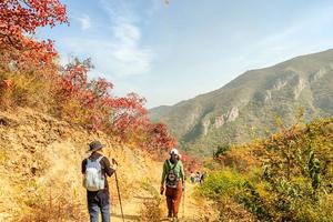 周末1日【谷积山】醉美红叶线の鲁家滩-谷积山14公里穿越（初级）