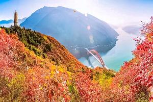 周末2日【三峡红叶】长江三峡之约の登山峡之巅-红叶漫三峡-巫山美如画