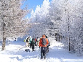 周三/周末1日【桦皮岭】一幅油墨画の草原天路桦皮岭踏雪-9公里徒步穿越