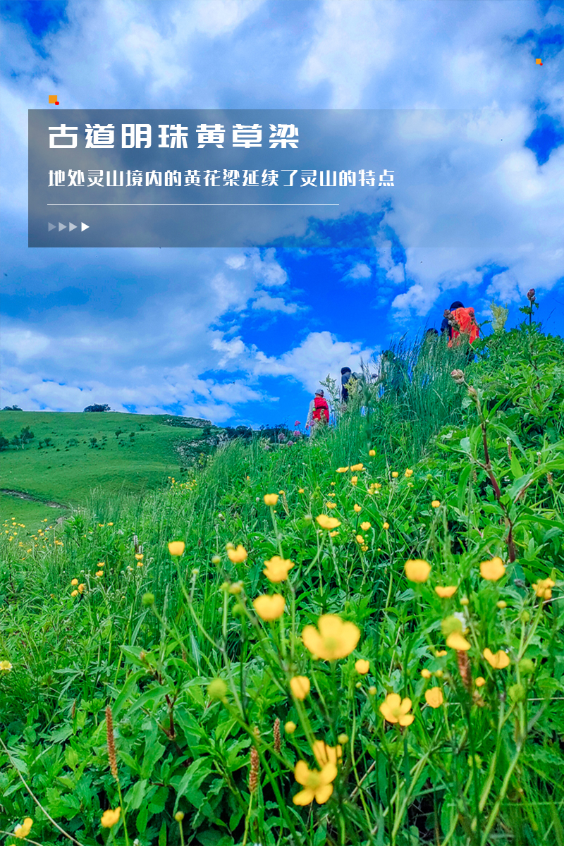 ★印象细图-竖A1.jpg