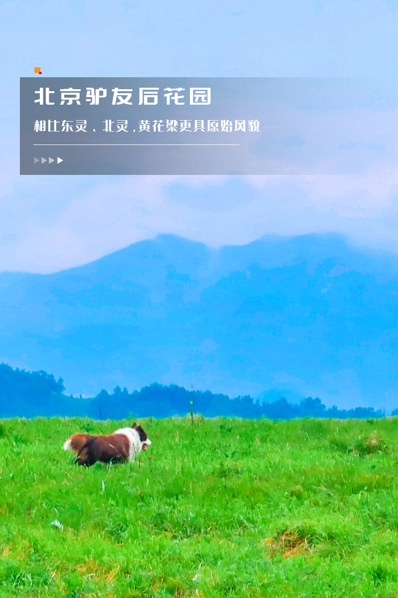 ★印象细图-竖A5.jpg