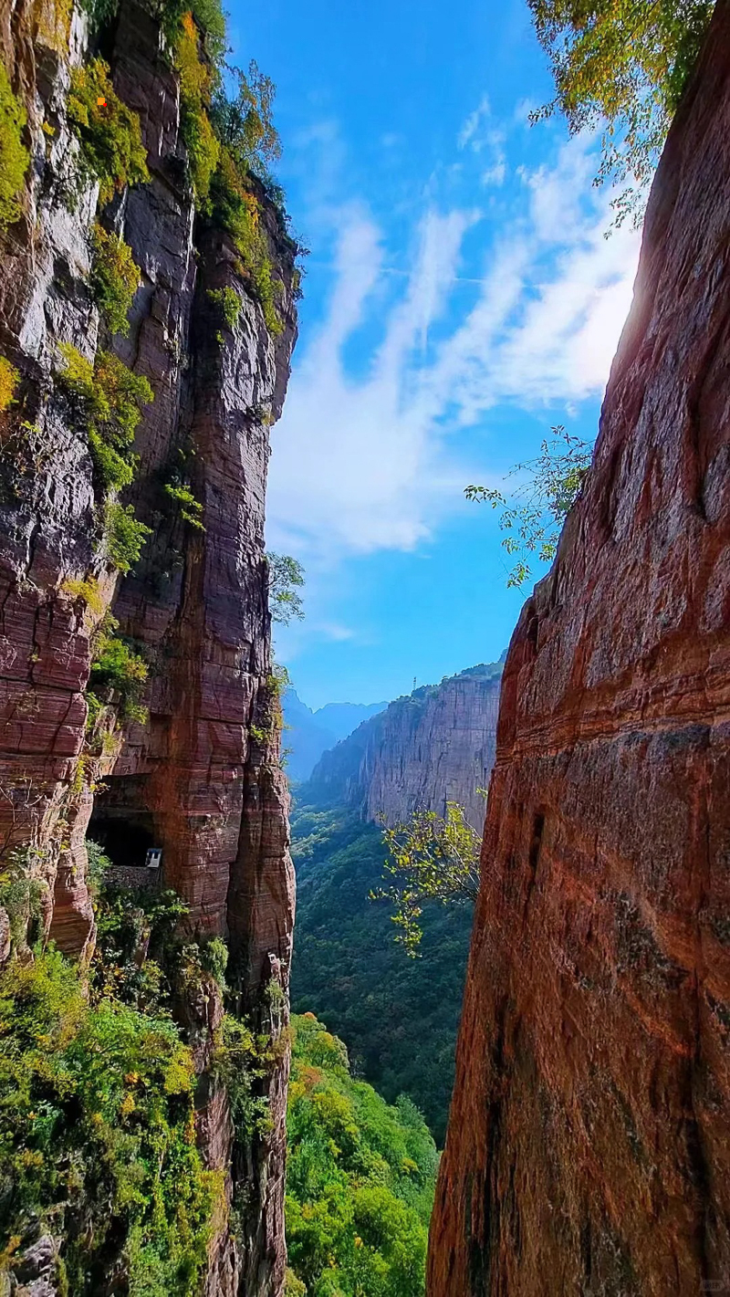 南太行10月秋色实拍，双岭穿越迷倒秋叶控_8_自由狍子_来自小红书网页版.jpg