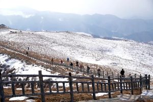 周末1日【北灵踏雪】偶遇云海雾凇-高山雪原白桦林踏雪