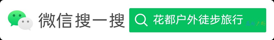 搜索框传播样式-白色版