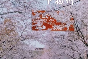 【江苏-3月22~27日】烟花三月下扬州、南京樱花徒步六天五晚《徒个中国-江苏站》 