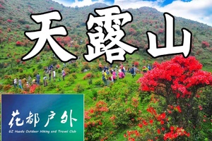 成行！3月15日星期日/花都广场往返【云浮天露山】徒步高山杜鹃草场，赏漫山遍野映山红~广州花都户外