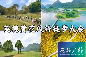 确定成行！3月22日星期日【英德积庆里】仙湖红茶谷黄花风铃徒步大会，花都嘉禾广州千灯湖塔番禺深莞中巴士往返