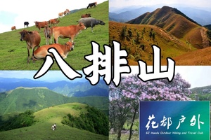 成行！3月14日星期六/特惠138元【云浮八排山】广东醉美原生态大草原，赏青青高山草原，看山顶阿牛哥