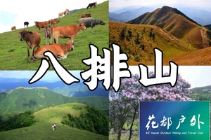 早鸟优惠/3月22日星期日/特惠138元【云浮八排山】广东醉美原生态大草原，赏青青高山草原，看山顶阿牛哥