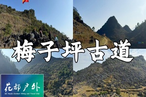 工作日/3月27日星期五/花都巴士往返/新晋网红线【清远梅子坪】古道休闲徒步，石林喀斯特峰林、牛羊牧场、松树林古朴乡村