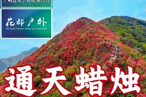 4月11日星期六/新从化十登之六【通天蜡烛高山杜鹃】Cong Hua Top6 hill，海拔1047米~广州花都户外