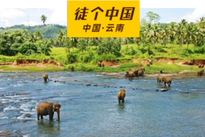 【Tour-3月11日~3月16日】《徒个中国系列—云南站》｜徒步西双版纳原始热带雨林6天5夜之旅