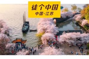 【Tour-3月25日~3月30日】《徒个中国系列—江苏站》｜烟花三月下扬州、南京樱花、兴化油菜花、鼋头渚樱花