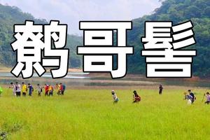 【Huadu Hike-5月2日】花都户外×北回归线︱花都经典鹩哥髻12KM大环线