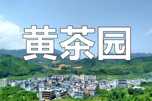 【Climb·2月19日（星期日）】花都户外×北回归线︱从化十登之黄茶园13KM（Cong Hua Top3）