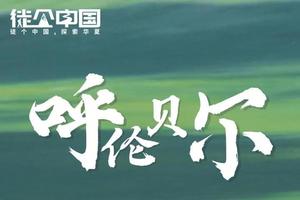 【Tour-6月17日~23日】《徒个中国系列—内蒙古站》｜呼伦贝尔大草原+大兴安岭原始森林徒步