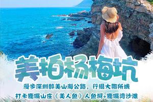 【美拍杨梅坑】漫步深圳醉美山海公路，打卡鹿嘴山庄《美人鱼》人鱼洞+鹿嘴湾沙滩，行摄大鹏所城