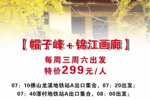特价299元！11月18日首期【粤北秋色】每周三周六出发：赏帽子峰银杏，漫步锦江画廊