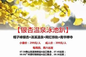 特价299元起【银杏枫叶温泉泳池趴】11.6起发团：帽子峰银杏+汤溪温泉+网红铁轨+南华禅寺