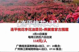 应季爆款【连平桃花1天】二月每周三四五六日：连平桃花李花油菜花+燕翼客家古围屋