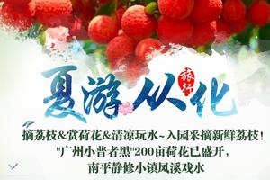 特价88【夏游从化】摘荔枝&赏荷花&清凉玩水~入园采摘新鲜荔枝！广州小普者黑200亩荷花已盛开，南平静修小镇凤溪戏水