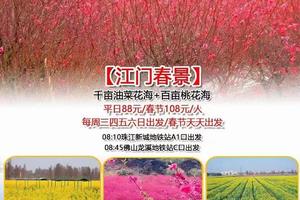 特价88元！【江门春景】每周三周六/周日出发！百亩桃花园+千亩葵林+网红彩虹村
