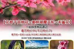 特价79元【花都千亩桃花+美林湖摩天轮+禾雀花】每周三周四周五周六周日