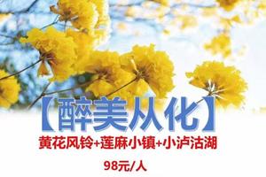 特价98元！【醉美从化】 3.20号开始发团！黄花风铃+莲麻小镇+小泸沽湖